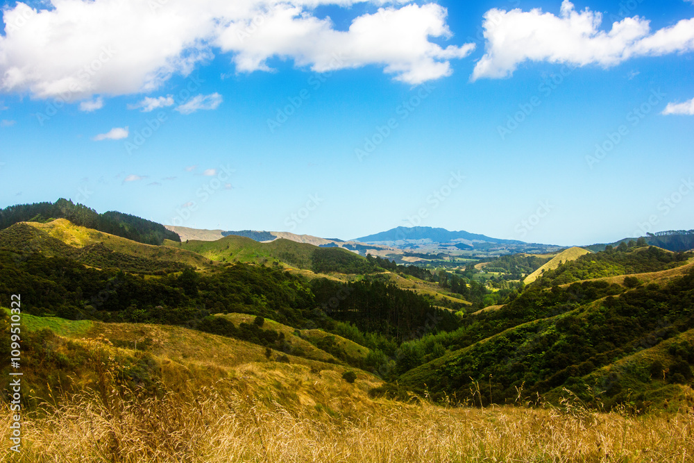 Obraz premium Beautiful mountain landscape in summer. Green rolling hills and distant wind turbines. Waikato, New Zealand