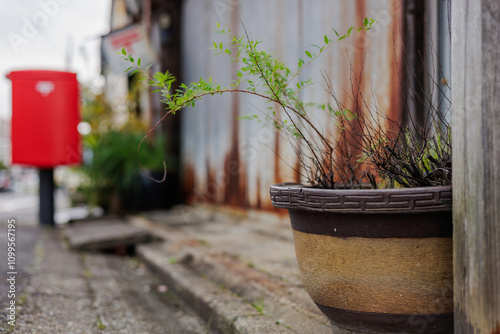 Принти на полотні A thriving potted plant and a modern mailbox adorn the front of an old rundown Japanese neighborhood post office no longer in use