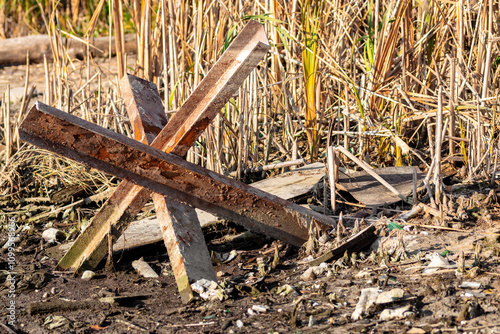 An old rusty anti-tank hedgehog on the dirty shore of a lake near the reeds photo