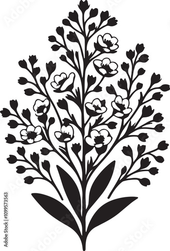 Waxflower silhouette vector Images