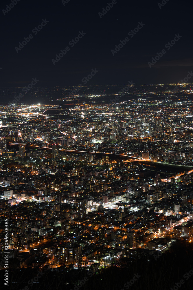 Obraz premium 札幌藻岩山山頂展望台からみた札幌のビル群の街並み