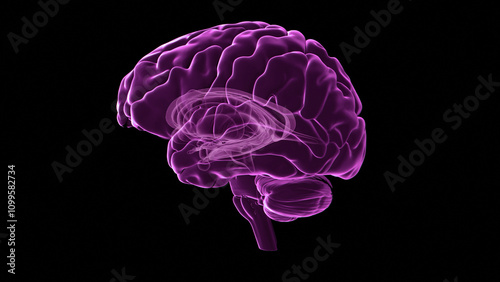 Human brain, illustration