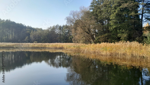 Ostrzyckie lake Kashubia in northern Poland. photo