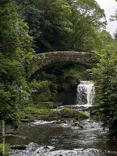 фотографія Old bridge over the river Ouseburn and the waterfall in the Jesmond Dene park in