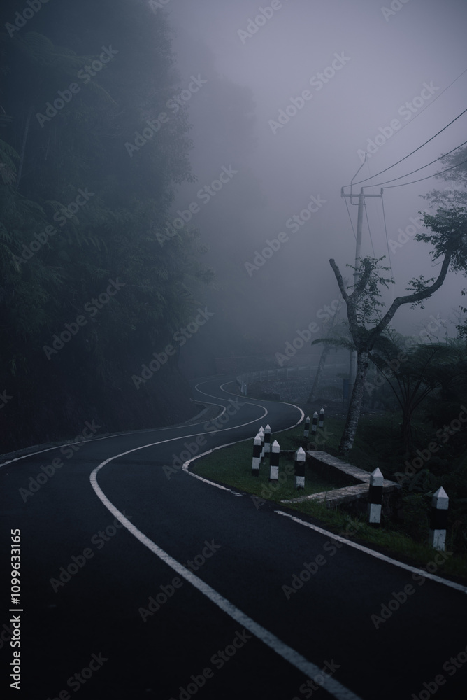 road in fog