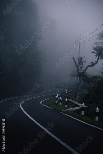 Obraz na płótnie road in fog w salonie