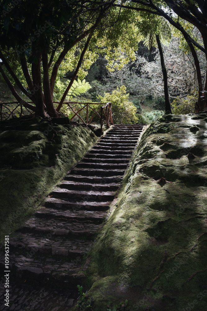 Obraz premium Levada Do Caldeirao Verde