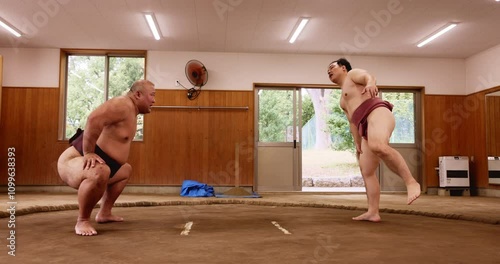 Sumo, japan wrestler or training with stretching in ring for match fitness, traditional exercise or leg practice. Warm up, man or shiko instructor with squats for flexibility workout or getting ready photo