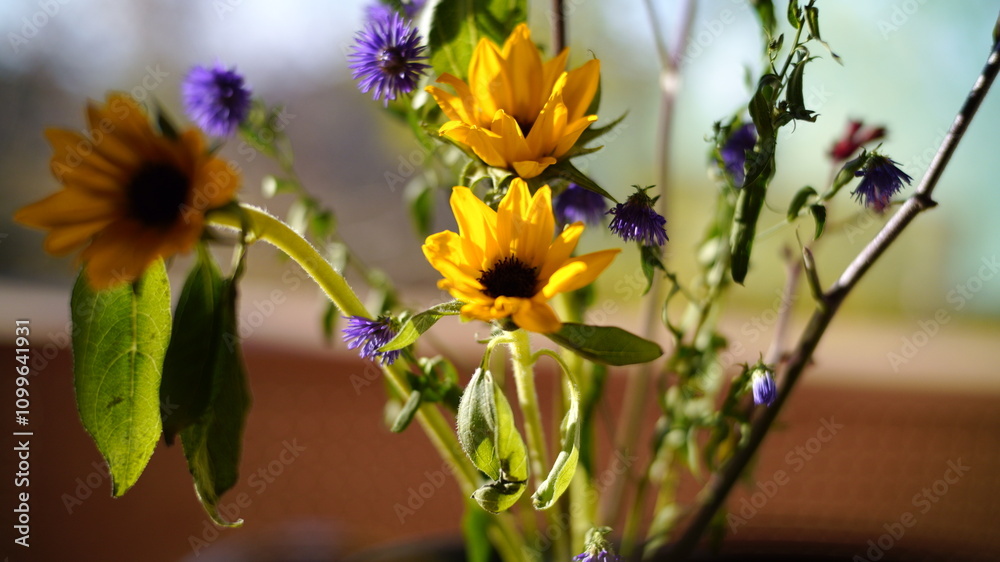 Obraz premium flower
