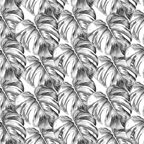 Tropical seamless monstera leaf isolated on white background. Hand drawn illustration ink style detail illustration pattern.