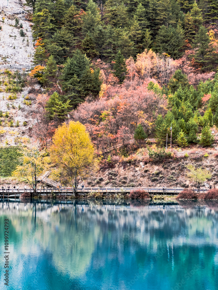 Naklejka premium Colorful landscapes in autumn