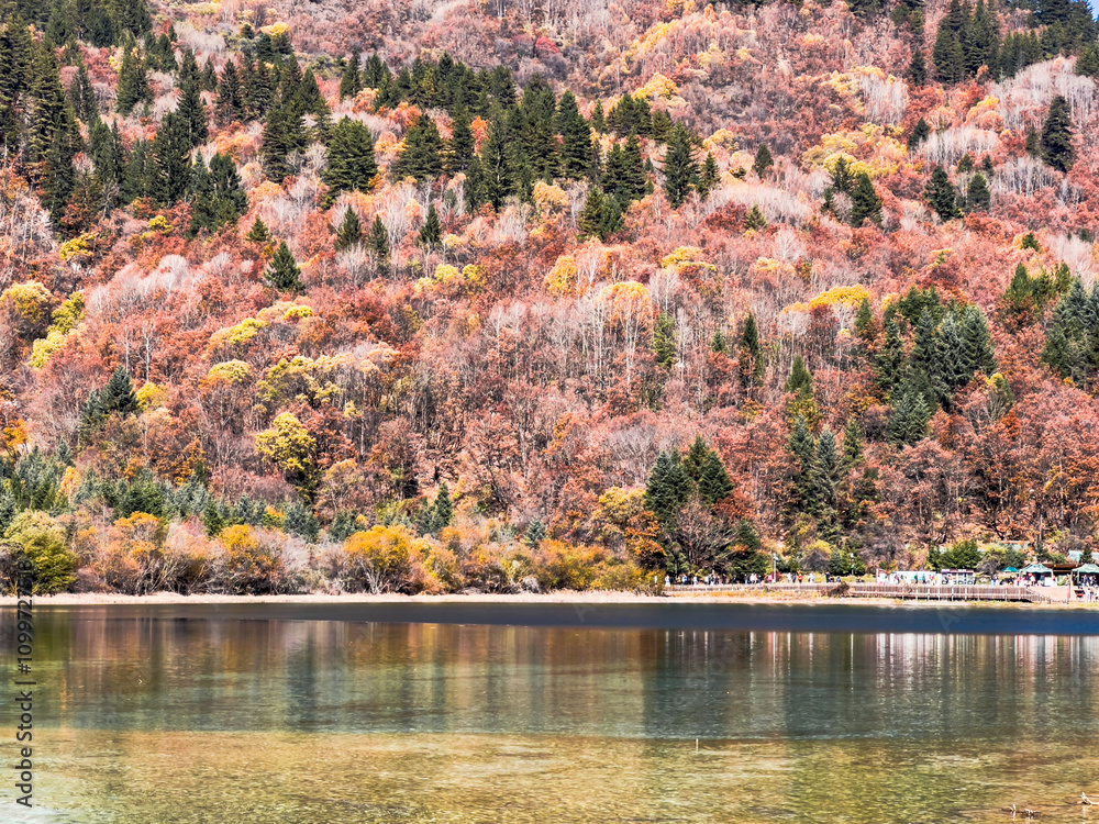 Naklejka premium autumn colors in the lake