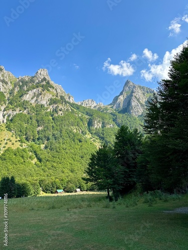 Scenic mountain landscape surrounded by trees under a clear blue sky