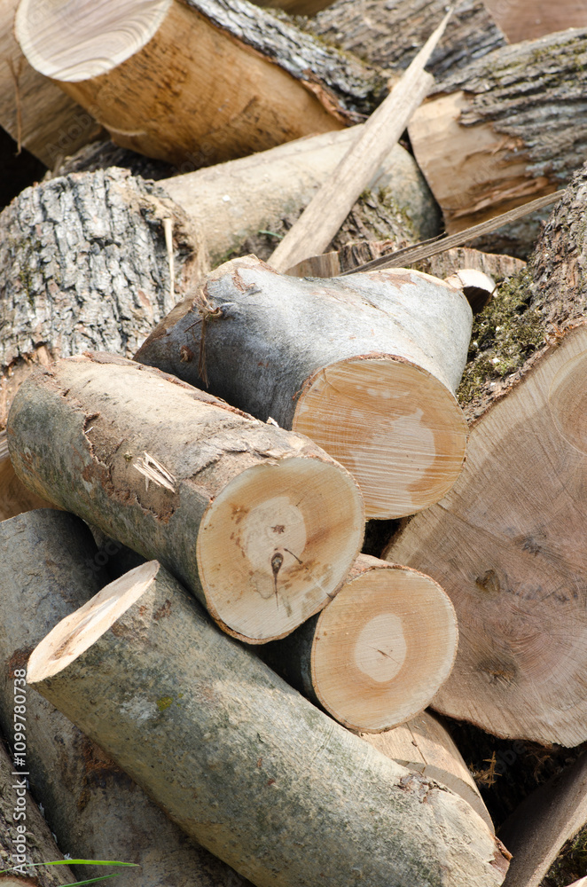 A pile of chopped wood to be used in winter A pile of chopped wood to be used in winter