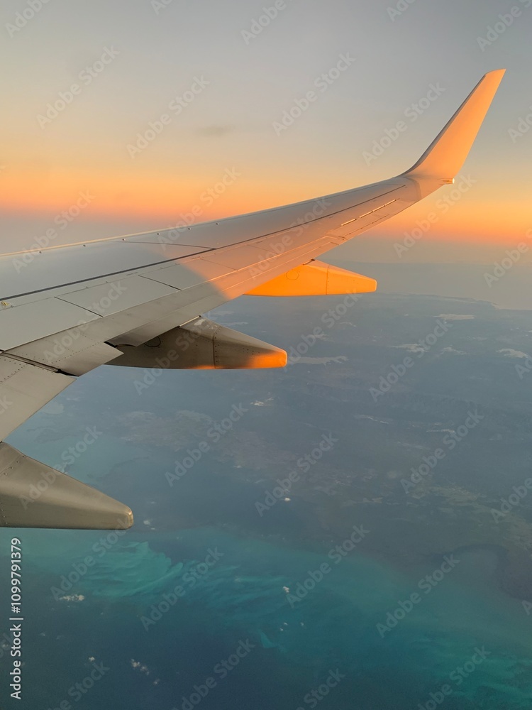Fototapeta premium in the sky