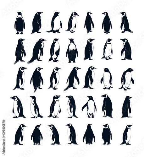 Black ink sketch penguins. Marine arctic ocean waterfowl bird in different angles, emperor gentoo adelie breeds sea hunters swimmers, vector isolated illustrations