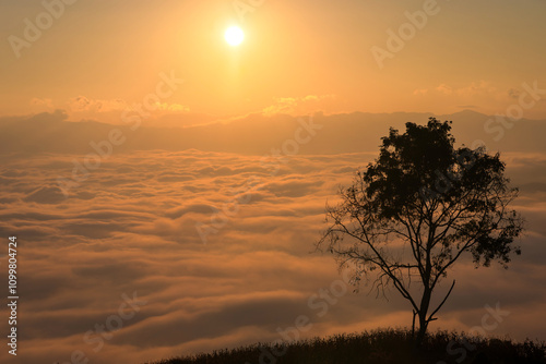 Beautiful scenery of the sea of mist in the morning at the Car Camping site with a viewpoint nature at Doi Ba Lu Kho Mountain in Mae Chaem, Chiang Mai, Thailand. Background concept. photo