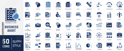 Business Audit Icon set. Containing Accounting, Checking and audit icon. Vector Illustration