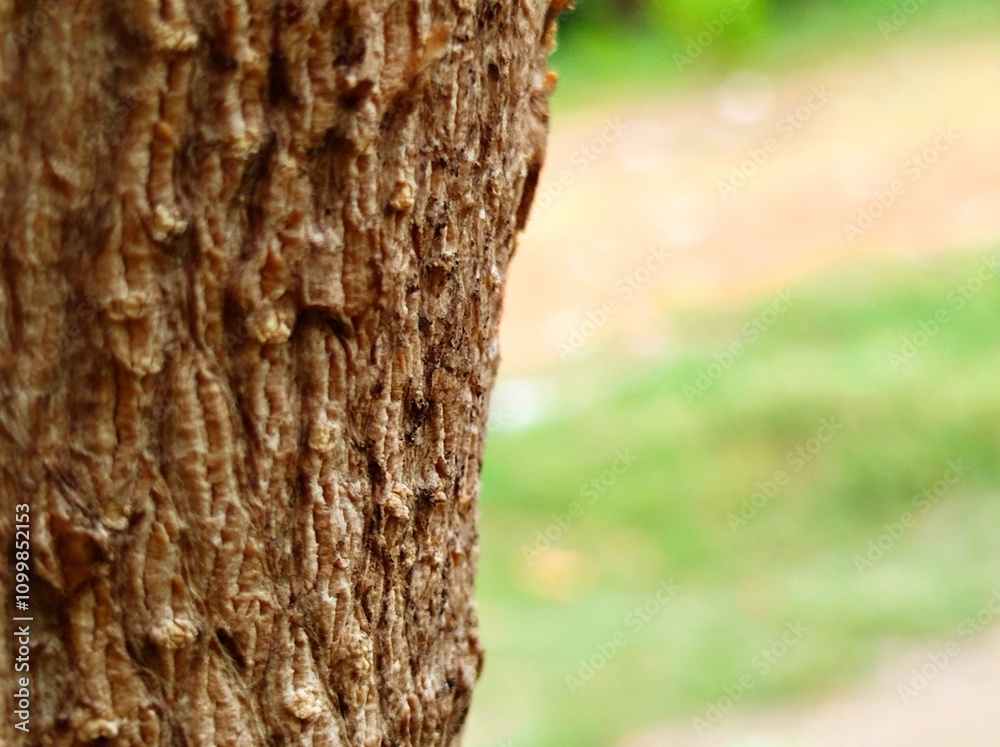 Obraz premium Wall texture that has been outside for a long time 