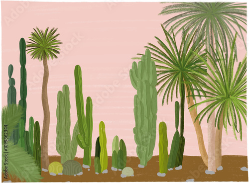 jardin cactus