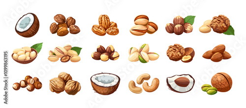 Cartoon nuts with seeds. Coconut almonds healthy food, dried hazelnut and pistachios roasted peanut snack vegetarian nutrition treats, isolated vector illustration on white background