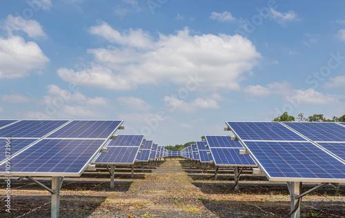  Rows array of Solar panels or solar cells or photovoltaics in solar power station , clean energy power sustainable energy environmentally friendly photo