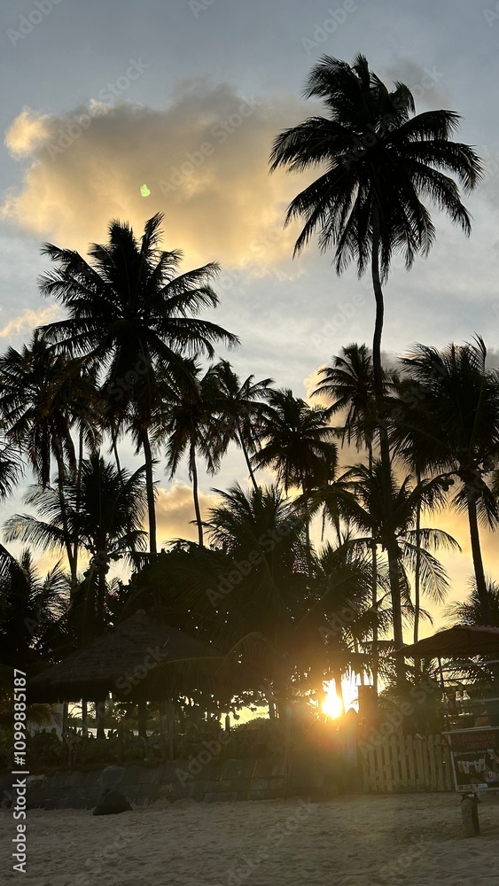 Obraz premium sunset palm tree