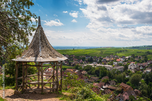 ribeauville panorama taken in summer