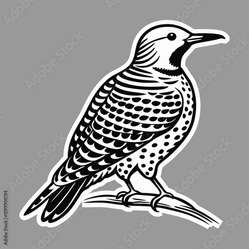 Northern flicker bird sticker vector illustration .