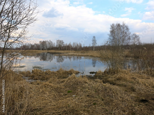 Peat bogs in the Moscow region in April