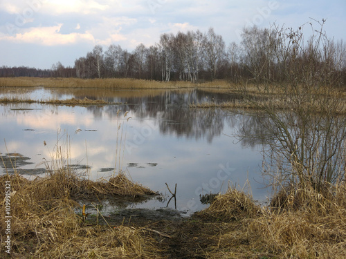 Photography Peat bogs in the Moscow region in April