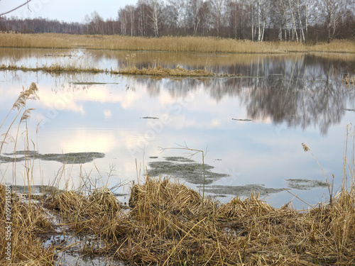 Photography Peat bogs in the Moscow region in April