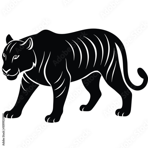 Tiger Walking Vector Illustration for Jungle Themes photo