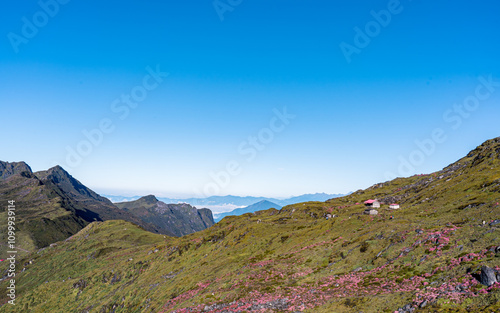 landscape view with wild flowers in Taplejung, Nepal. photo