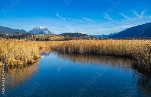 See mit Schilf im Gailtal, Pressegger See, Kärnten, Österreich photo