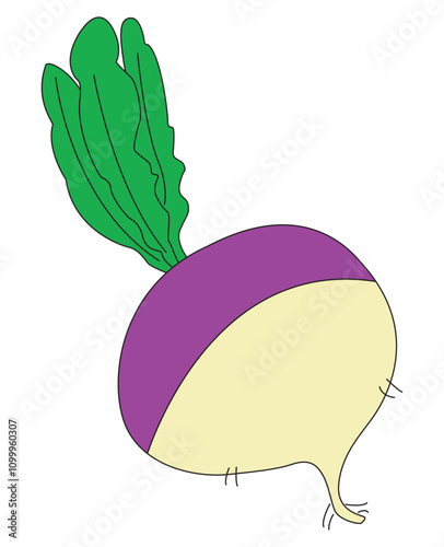 Cute turnip cartoon vector illustration