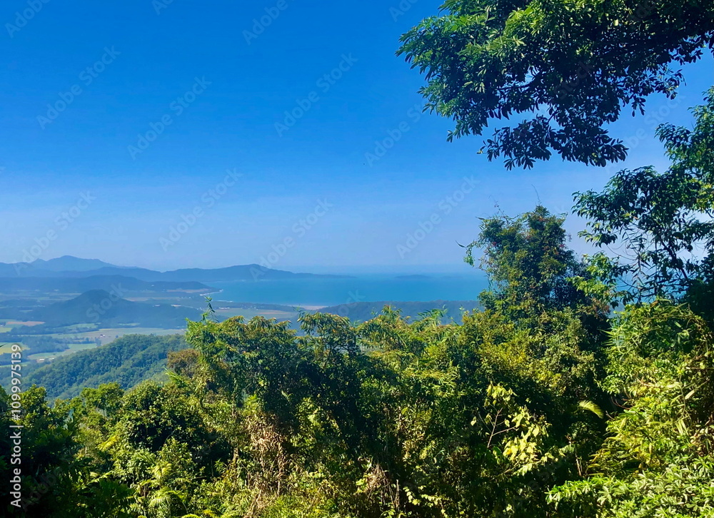 Obraz premium Scenic view from Rex Range Lookout of Trinity Bay in Queensland, Australia