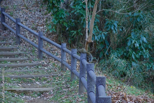 本郷ふじやま公園の風景　眺め　梅の季節
 photo