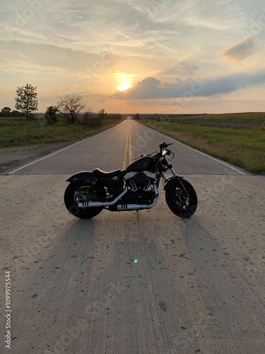 Harley sportster forty-eight on the road photo