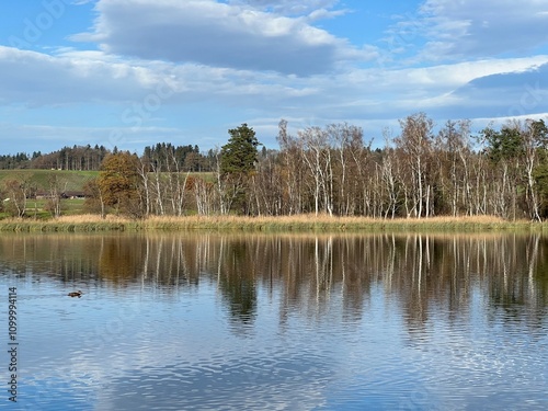 Late autumn atmosphere on the Swiss Katzenseen lakes or Katzensee lakes (Katzen lakes), Regensdorf - Lenzerheide - Canton of Zurich (Zürich or Zuerich), Switzerland (Schweiz) photo