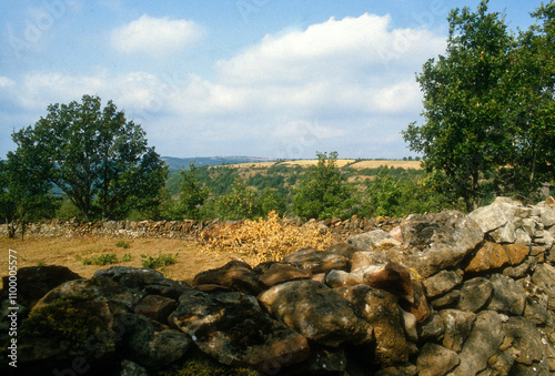 Ferme caussenarde,  mur en pierre sèche, Parc naturel régional des Grands Causses, 12, Aveyron, France photo