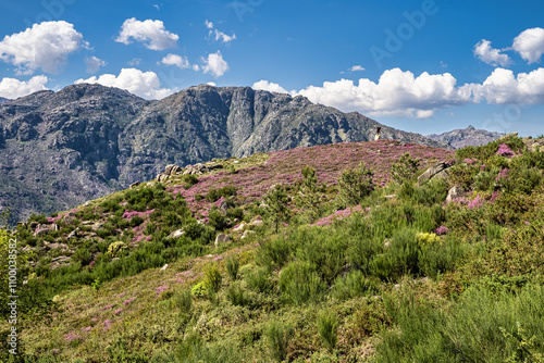 Landscape view of the Peneda Geres National Park in Portugal. Area betweeen Cabril und Ruivaes photo