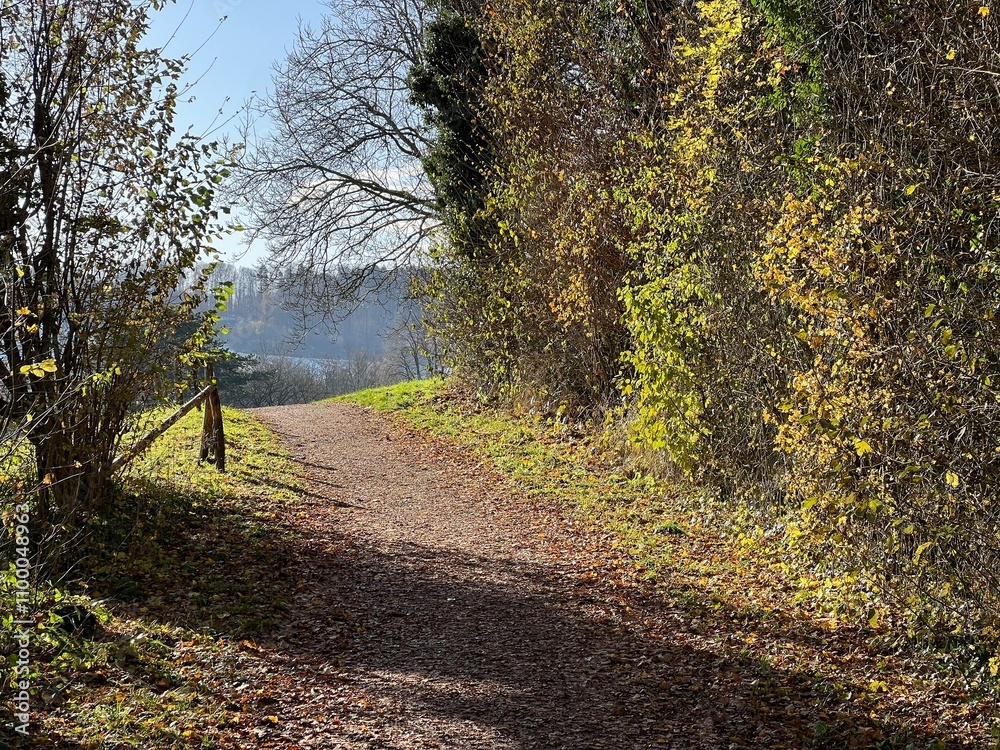 Obraz premium Sports and recreation trails around the Swiss Katzenseen lakes or promenade along Lake Katzensee (Katzen Lake), Regensdorf - Canton of Zurich (Zürich or Zuerich), Switzerland (Schweiz)