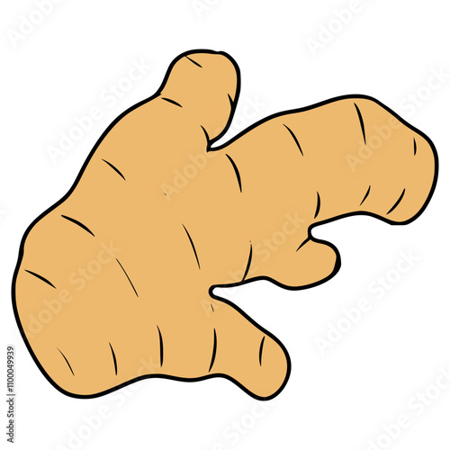 ginger illustration hand drawn isolated vector