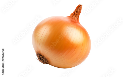 Wallpaper Mural Onion isolated on white background Torontodigital.ca