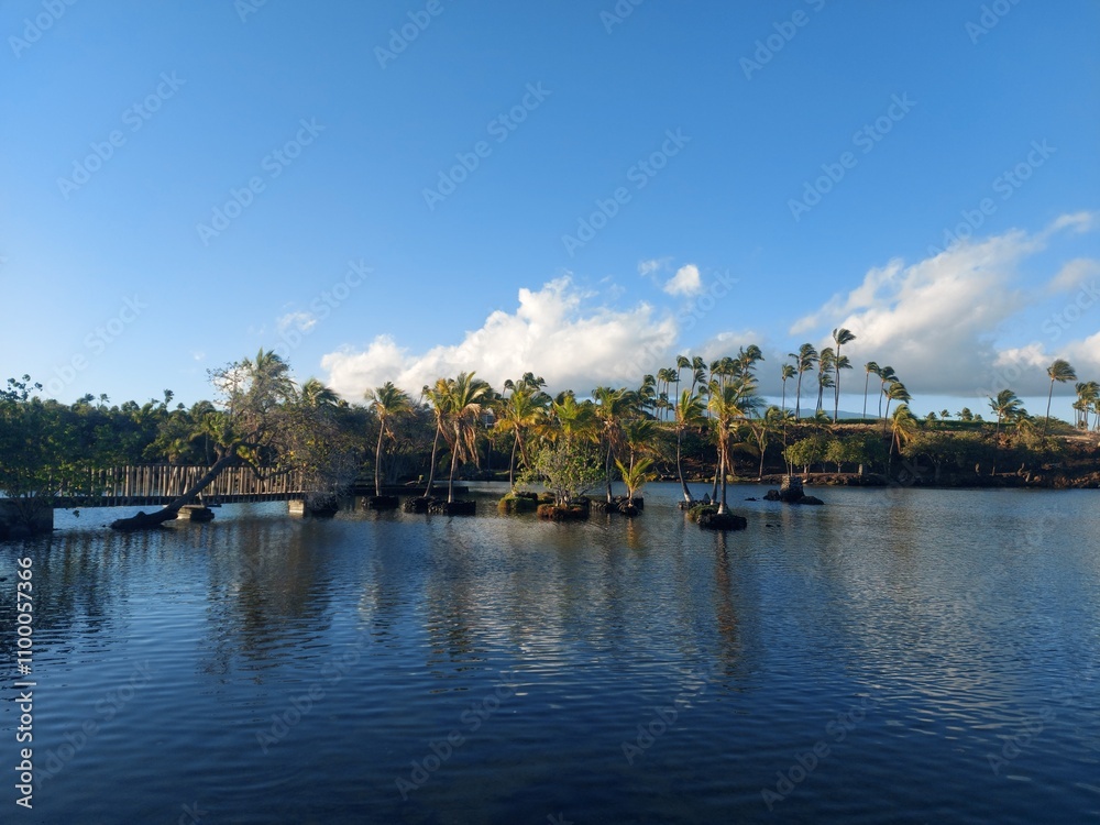 Fototapeta premium ocean, water, sky, clouds, trees, palm tree, peace, relax, haway, havai, america, travel, destination, blue, landscape, nature, outside, view, island