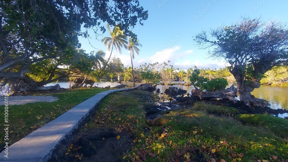 Obraz premium ocean, water, sky, clouds, trees, palm tree, peace, relax, haway, havai, america, travel, destination, blue, landscape, nature, outside, view, island