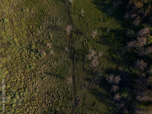 Drone image of a muddy green area surrounded by trees in the daily forest
