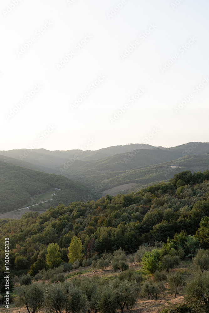 Fototapeta premium Hügel in Italien, Europa, Toskana