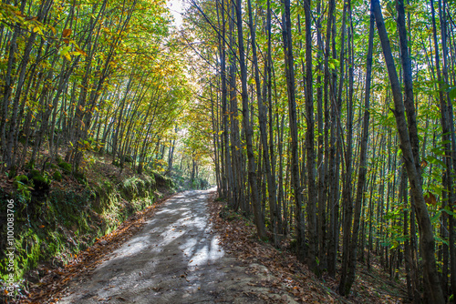 Garganta de los Infiernos Natural Reserve, Extremadura, Spain photo